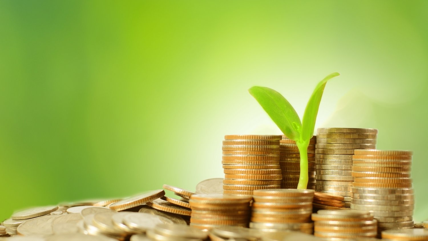 追光而行 正义花开——记全国三八红旗手王秀敏