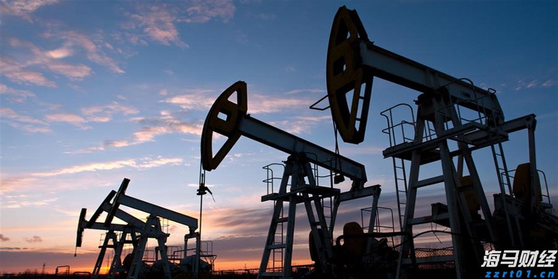 梅州海关供港澳活猪远程检疫监装模式正式启动